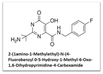 2-(1amino-1-Methylethyl)-N-(4-Fluorobenzyl0-5-Hydroxy-1-Methyl-6-Oxo-1,6-Dihydropyrimidine-4-Carboxamide