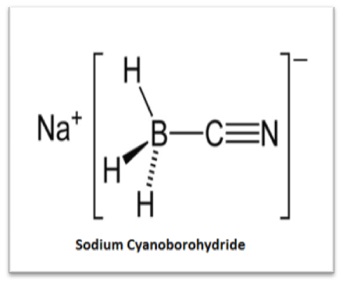 Sodium Cyanoborohydride Manufacturers India